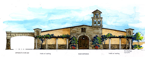 Winery Concept 2 - D’Amico Cellars